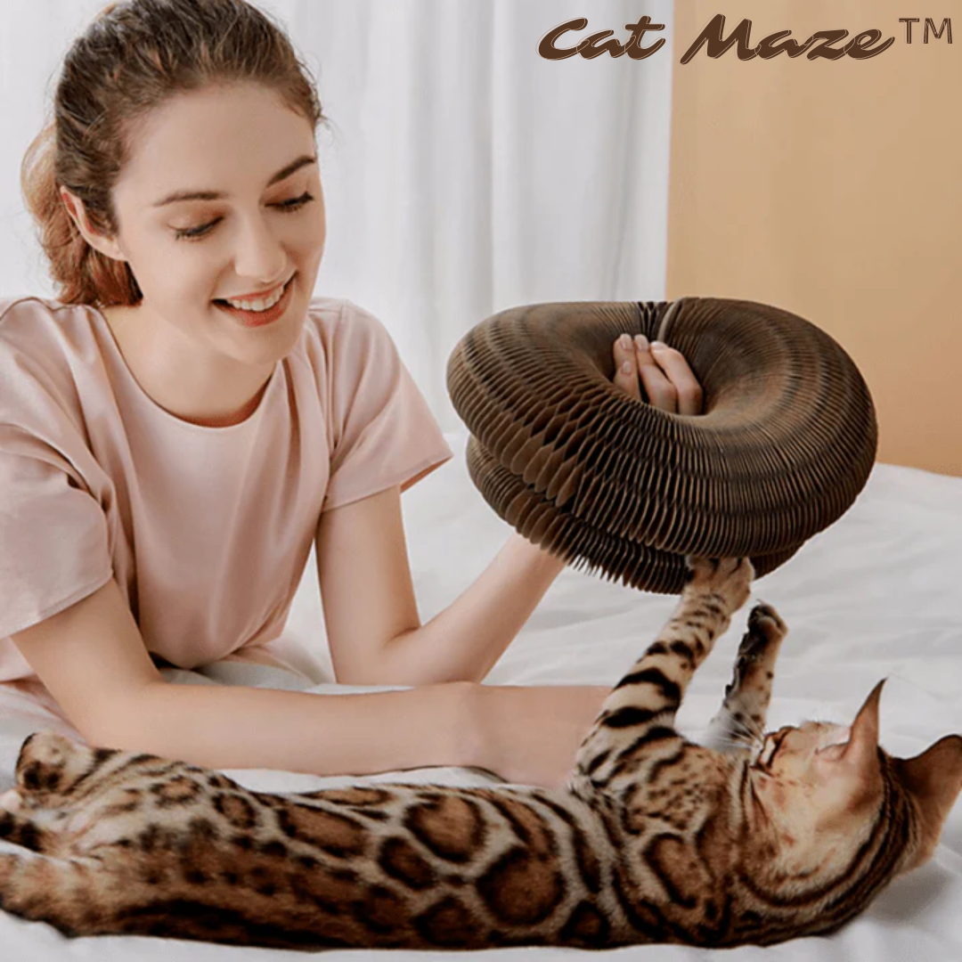 Cat Maze™ Jouet de planche à gratter pour chat
