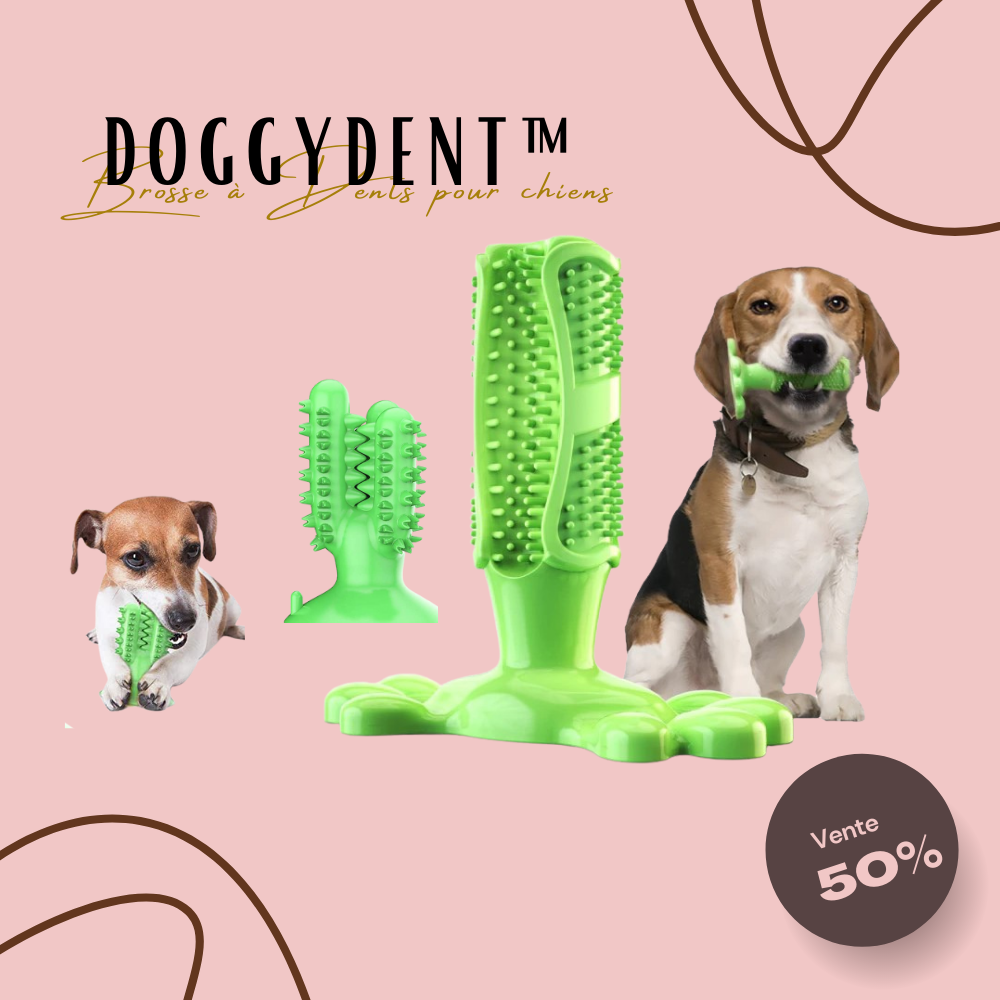 DoggyDent™ | Brosse à Dents pour chiens