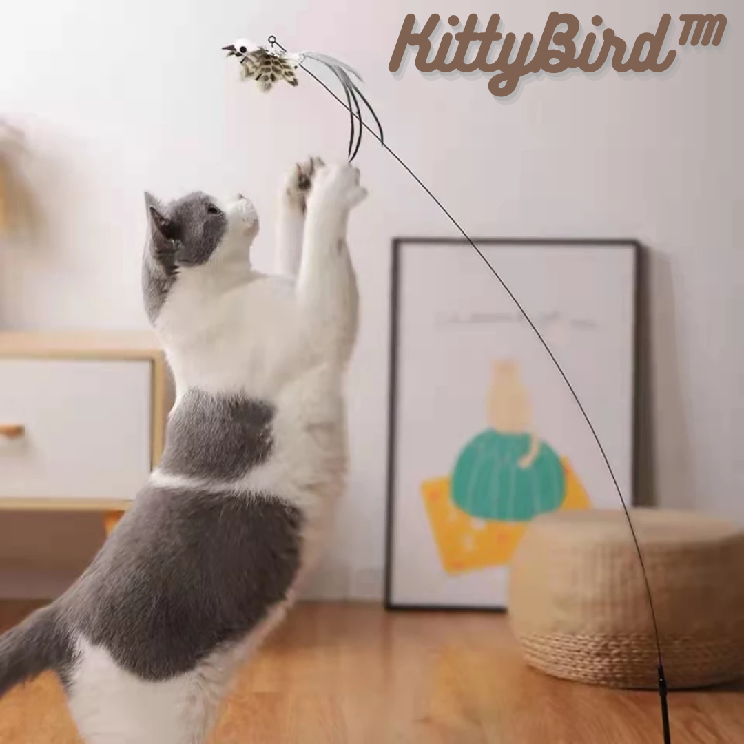 KittyBird™ Jouet interactif pour chat