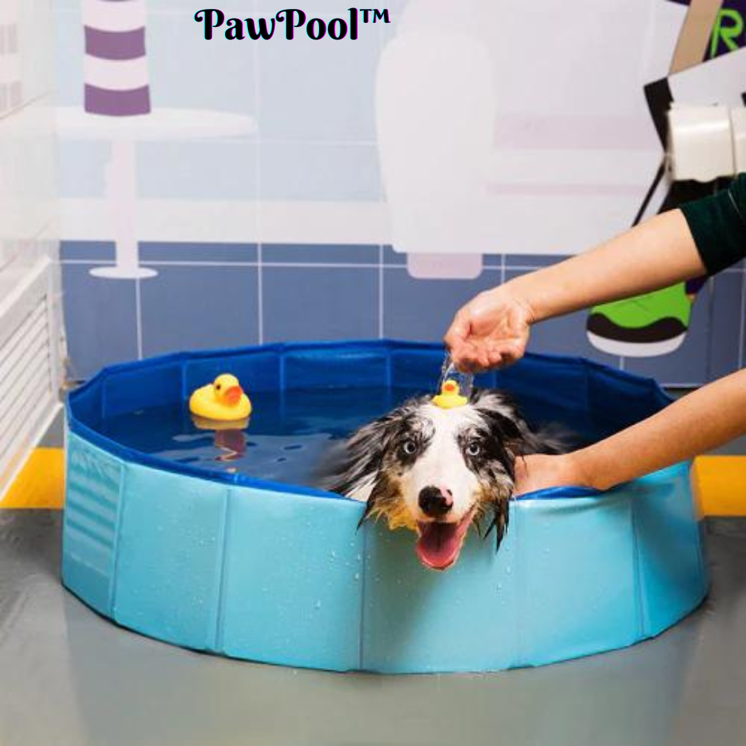 PawPool™ Piscine portable pour animaux