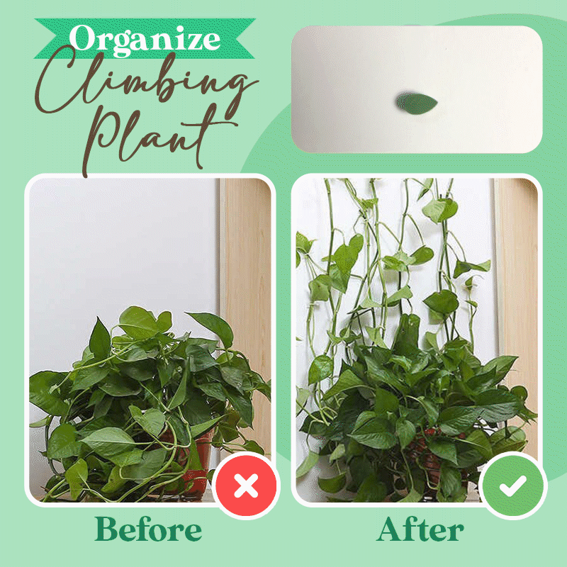PlantClip™ - Clip mural pour plantes grimpantes (25+25 GRATUITS)