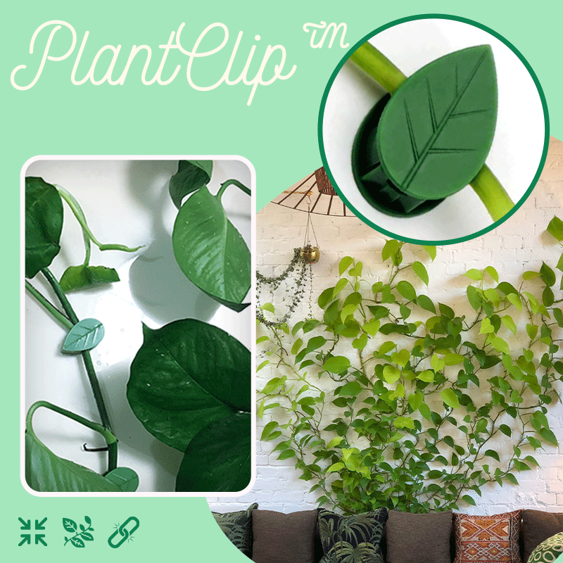 PlantClip™ - Clip mural pour plantes grimpantes (25+25 GRATUITS)